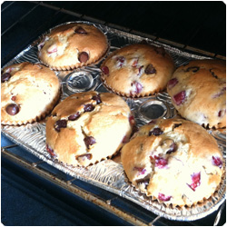 Muffin Cherries and Chocolate chip - International Cooking Blog