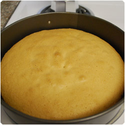 Sponge Cake - International Cooking Blog