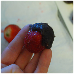 Strawberry Mochi - International Cooking Blog