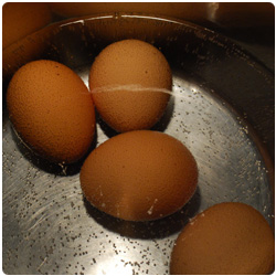 Maddi's Eggs - The International Cooking Blog
