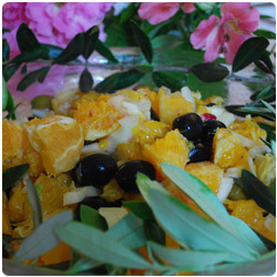 Orange and Fennel Salad - The International Cooking Blog