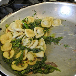 Orecchiette with Broccoli Sauce -International Cooking Blog