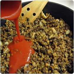 cheese polenta with lentils - international cooking blog